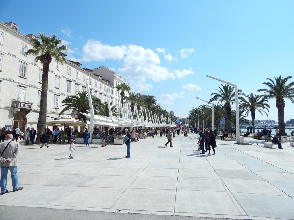 Apartament Moni *